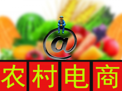 农村电商十大成功案例解析