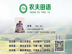 乡村振兴之六问六答。